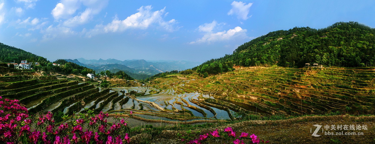 #ZOL月赛-春暖花开#春游大别山