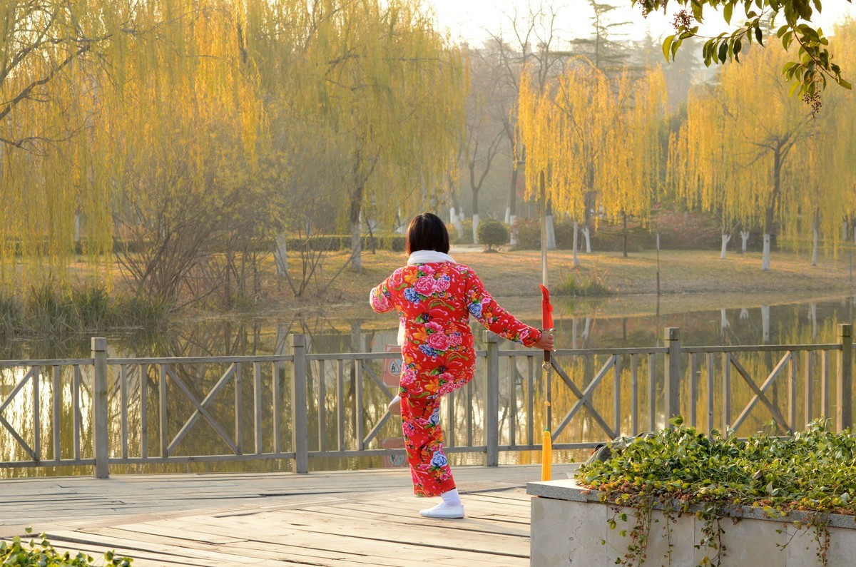 生活处处有美景—随拍