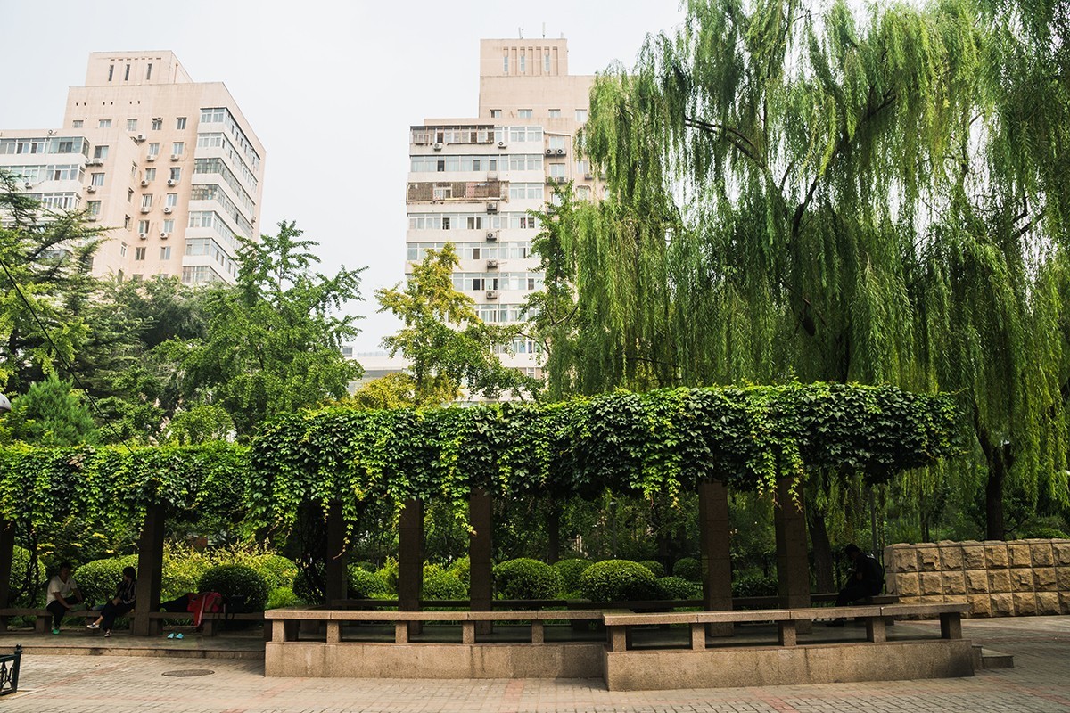 南礼士路人口文化公园随拍a7rm2拍摄