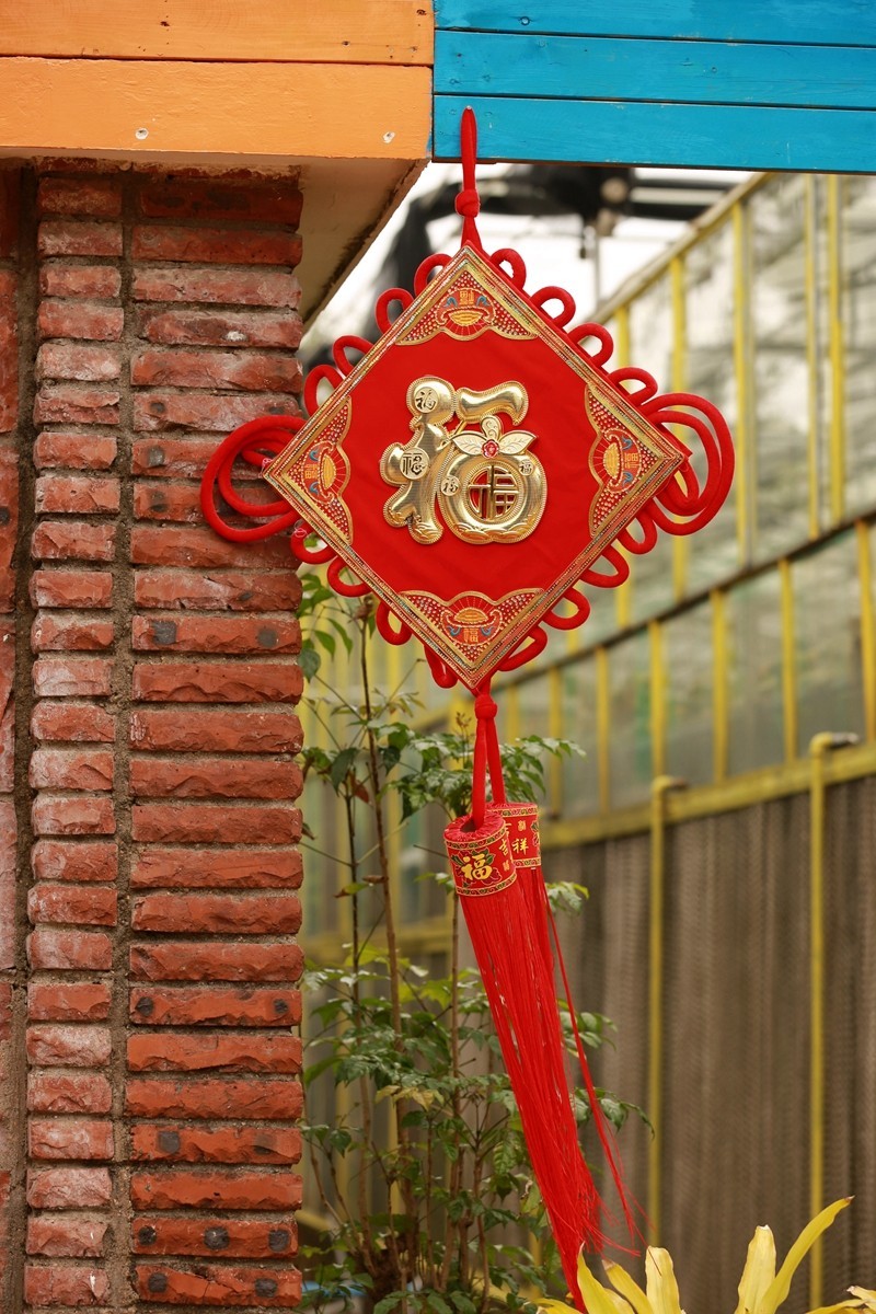 大年初八珠海农科奇观