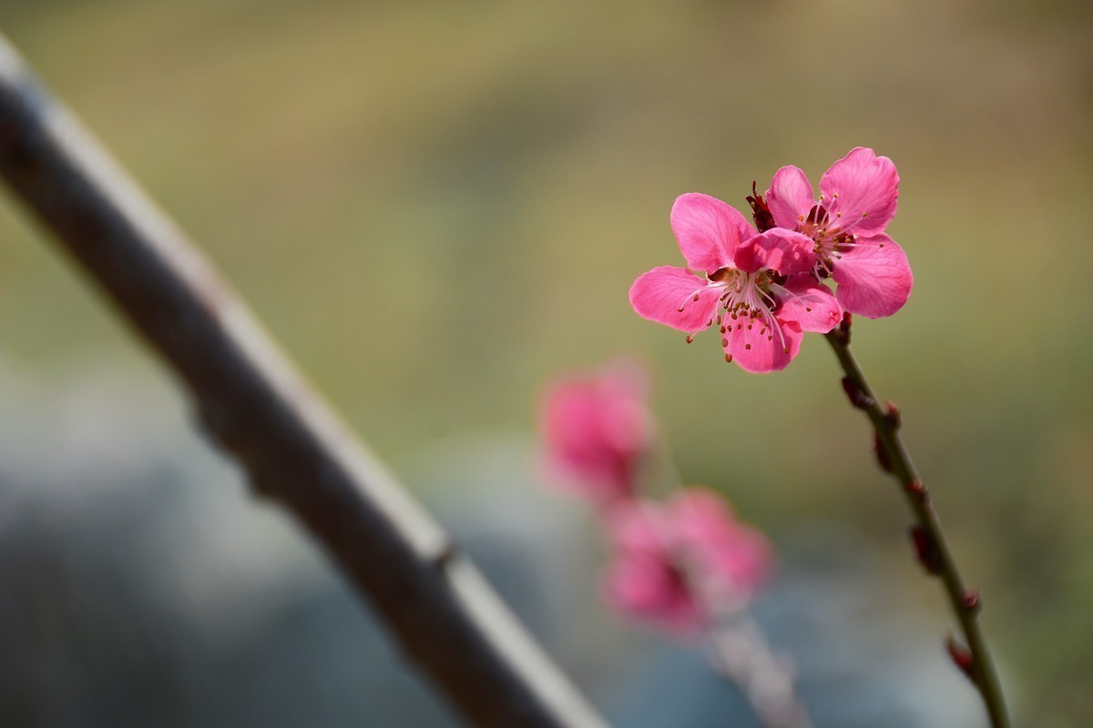 #版主坐堂#  2018年4月《佳能EF 24-105mm f/4L  IS USM镜头》星空(中国)优秀作品选编