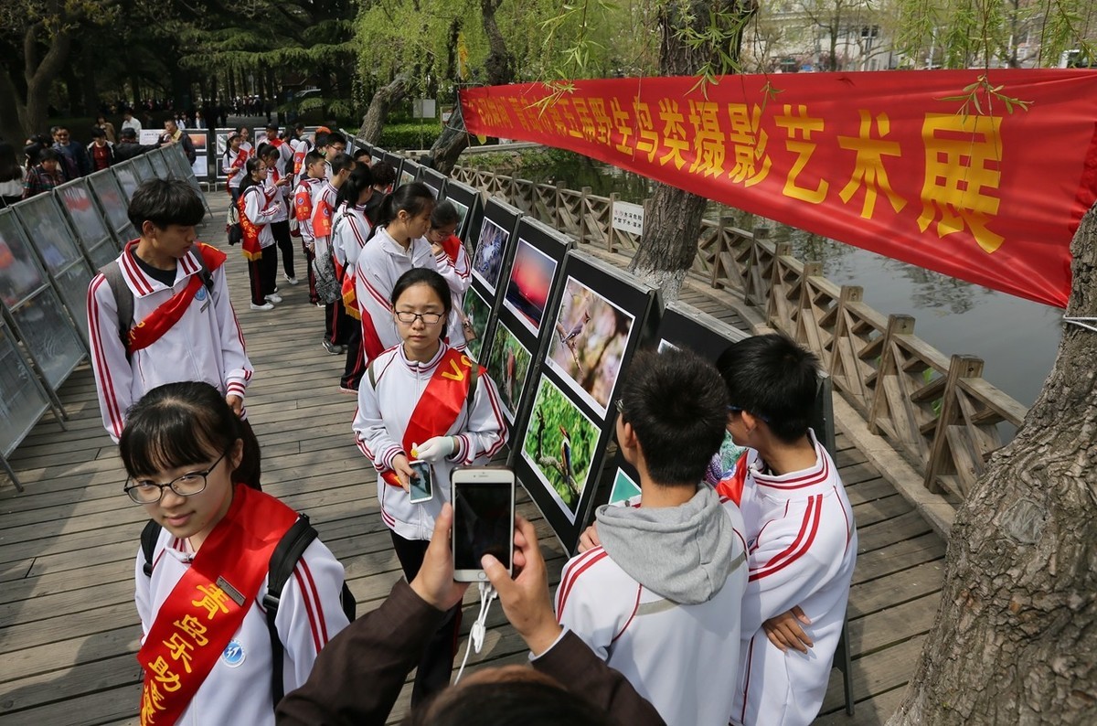 “飞羽瞬间”青岛市第五届野生鸟类摄影艺术展