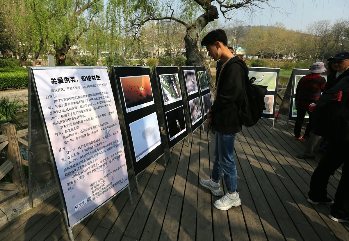 “飞羽瞬间”青岛市第五届野生鸟类摄影艺术展