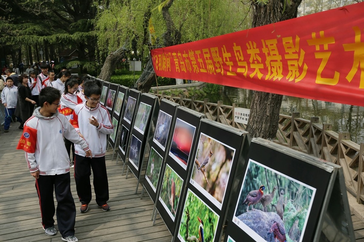 “飞羽瞬间”青岛市第五届野生鸟类摄影艺术展