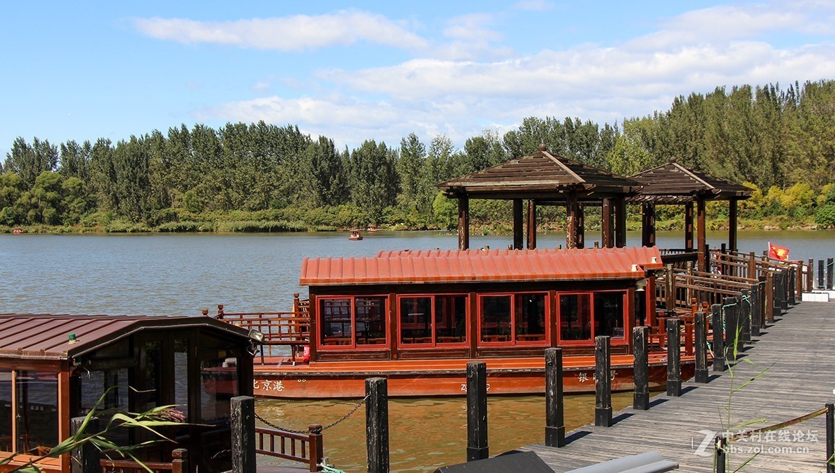 #佳能迷你单反EOS 200D 看见南腔北调# 湿地公园