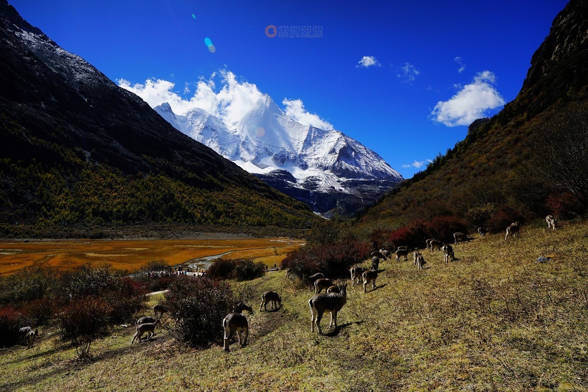 稻城亚丁-最后的香格里拉