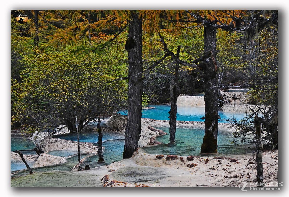 游历-四川行-黄龙
