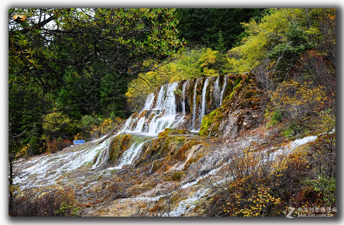 游历-四川行-黄龙