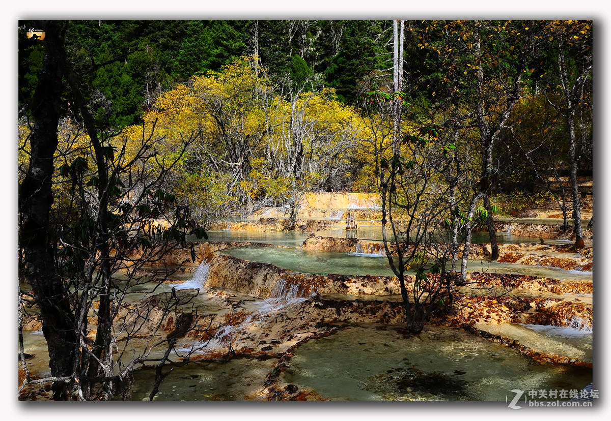游历-四川行-黄龙