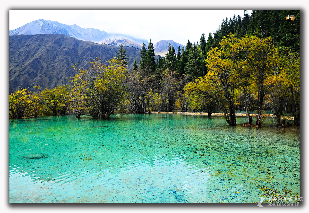 游历-四川行-黄龙