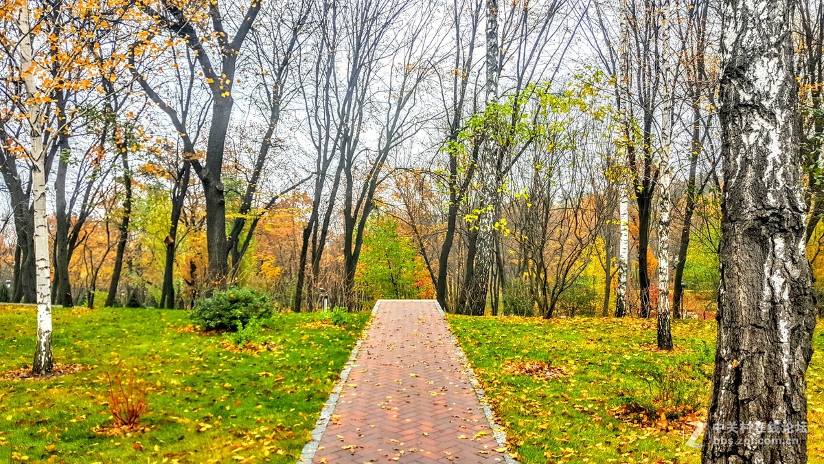 星空体育平台Note 5晚秋乌克兰前总统的官邸（一）