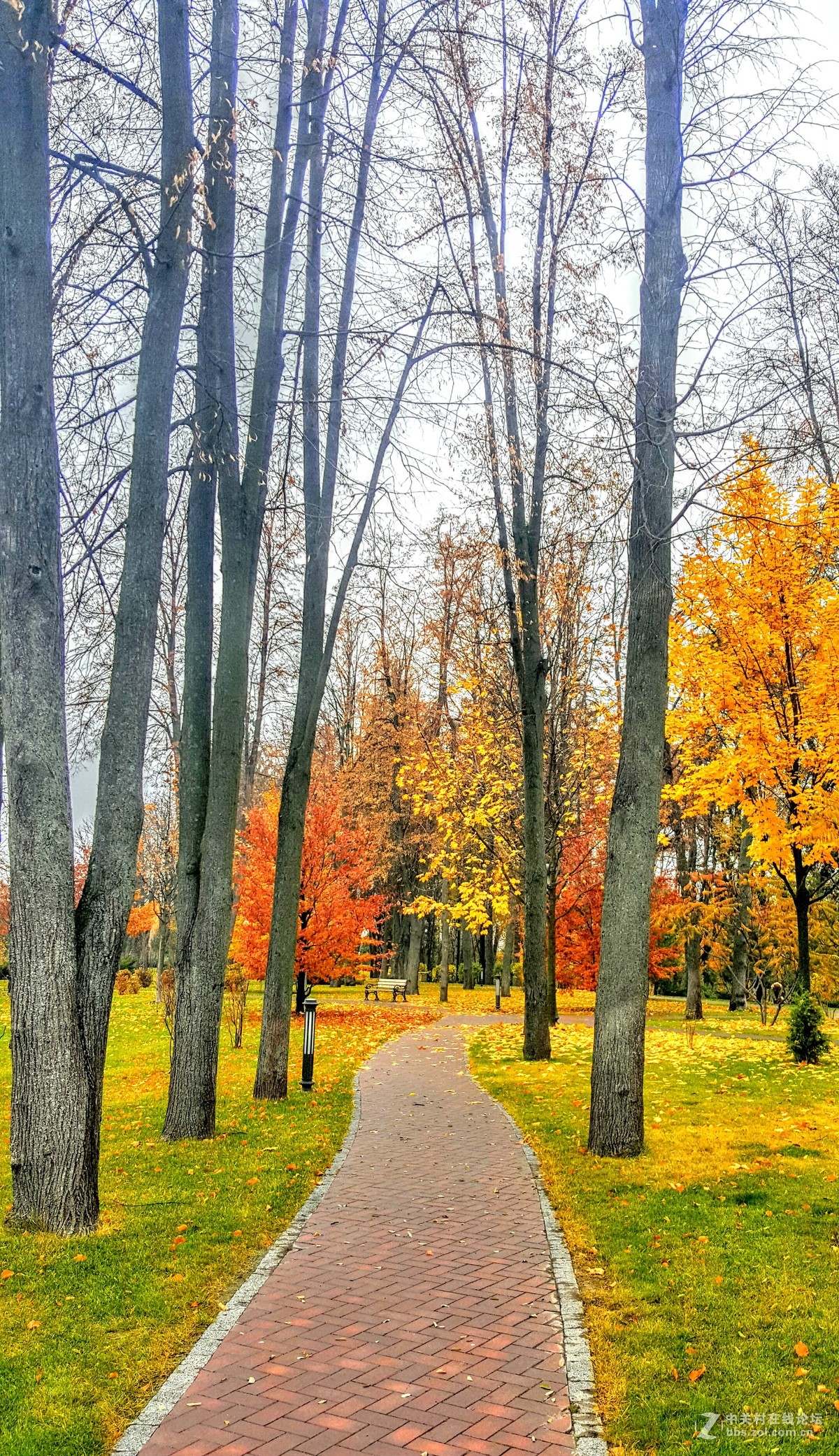 星空体育平台Note 5晚秋乌克兰前总统的官邸（一）