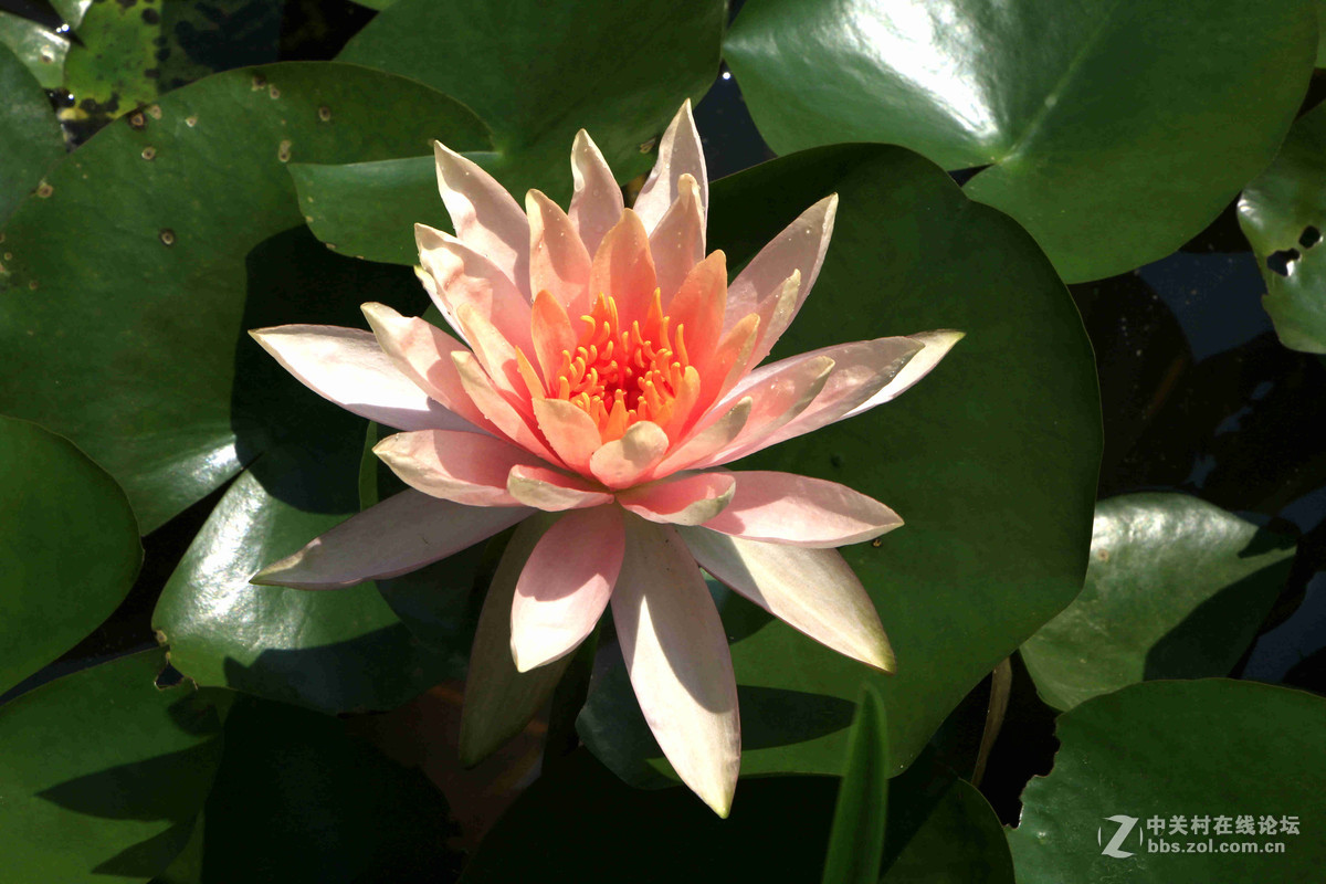 五一随拍（三）