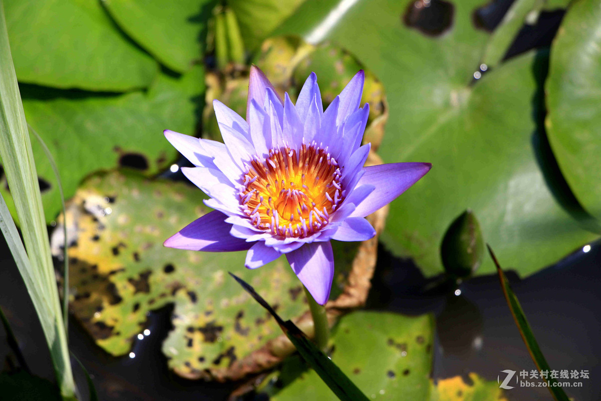 五一随拍（三）