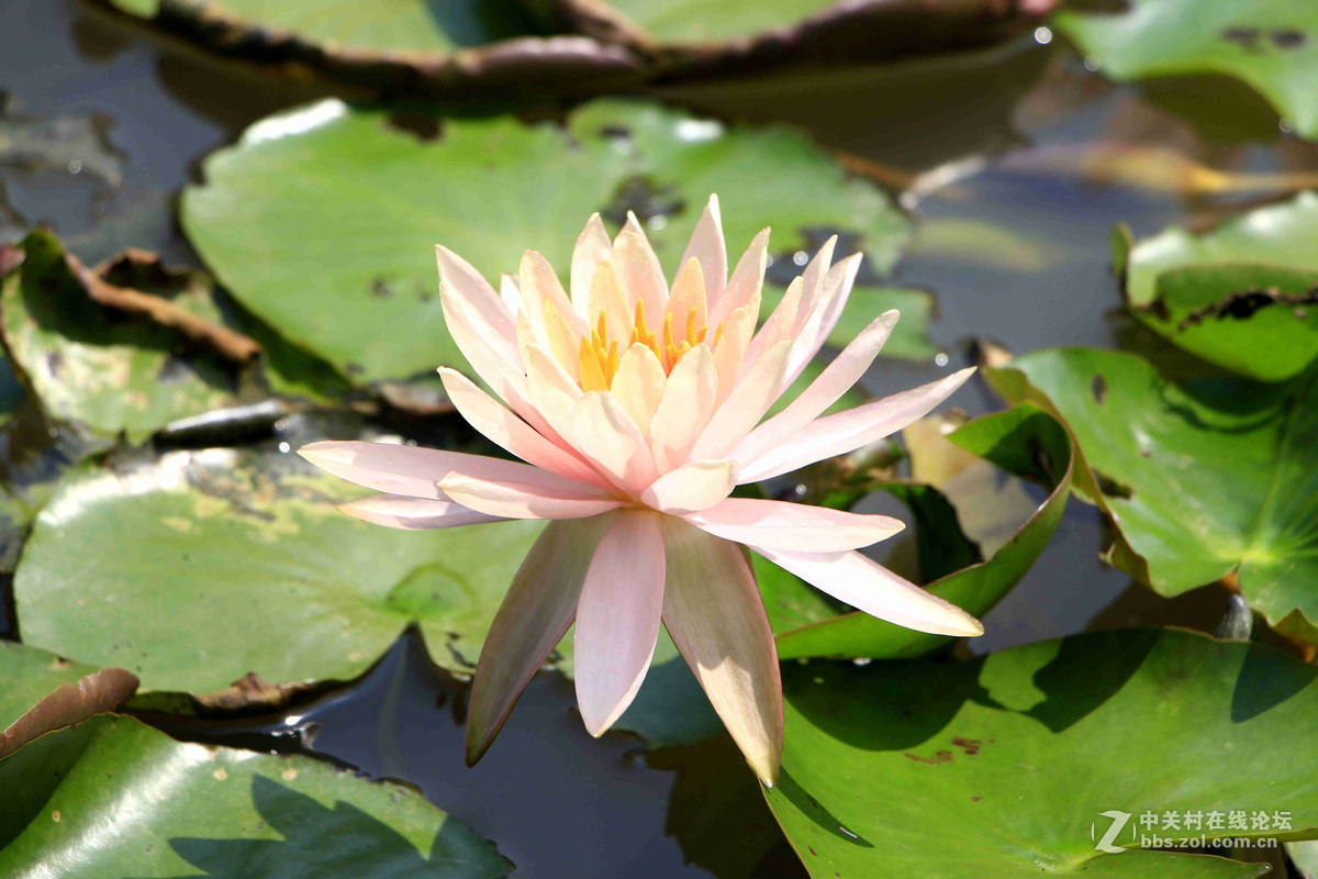 五一随拍（三）