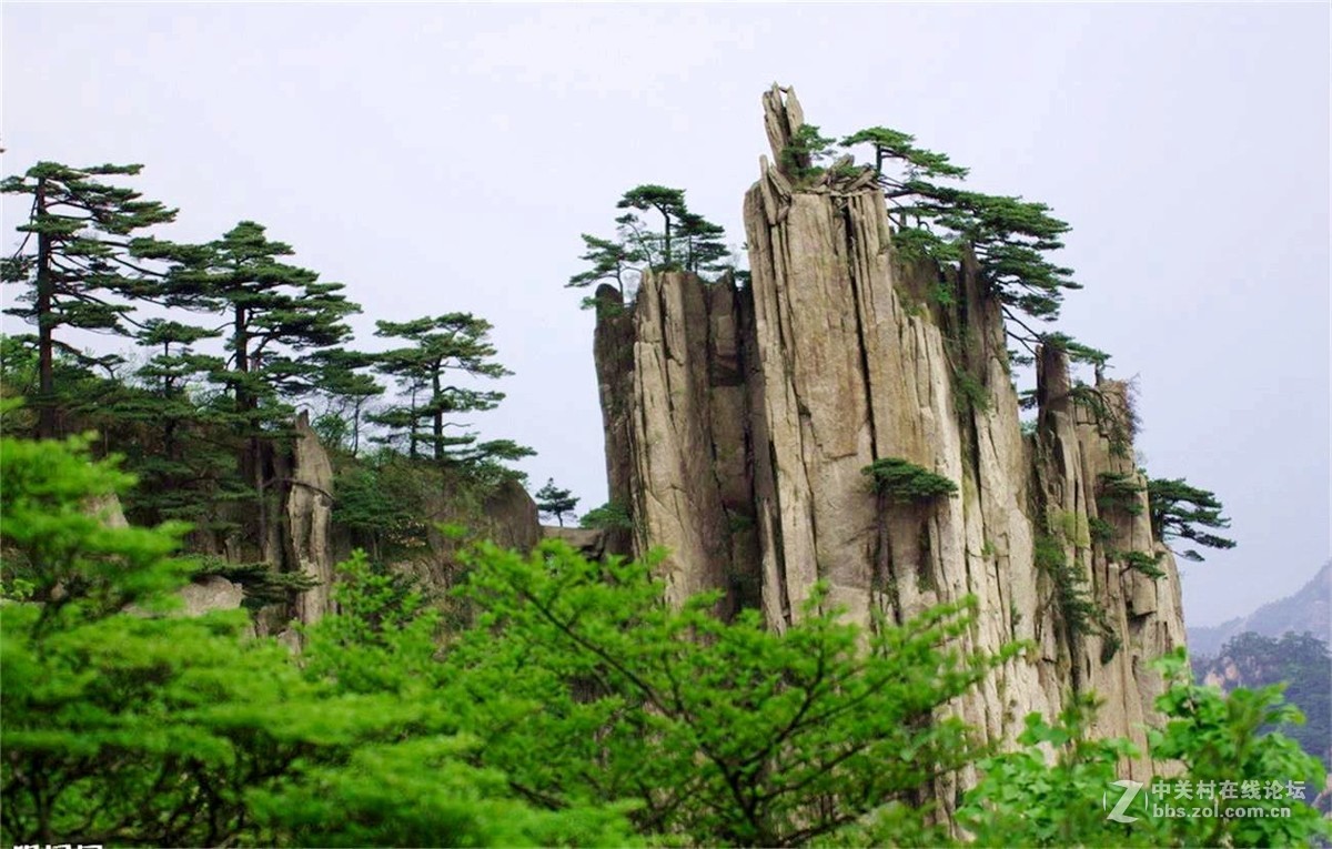 黄山以奇松怪石等闻名遐迩-中关村在线摄影论坛