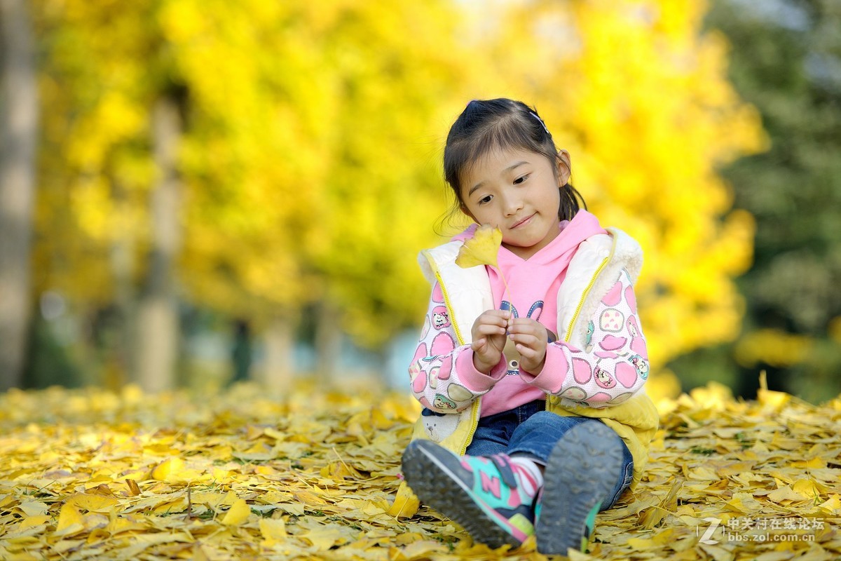 尼康AF-S 尼克尔 70-200m拍