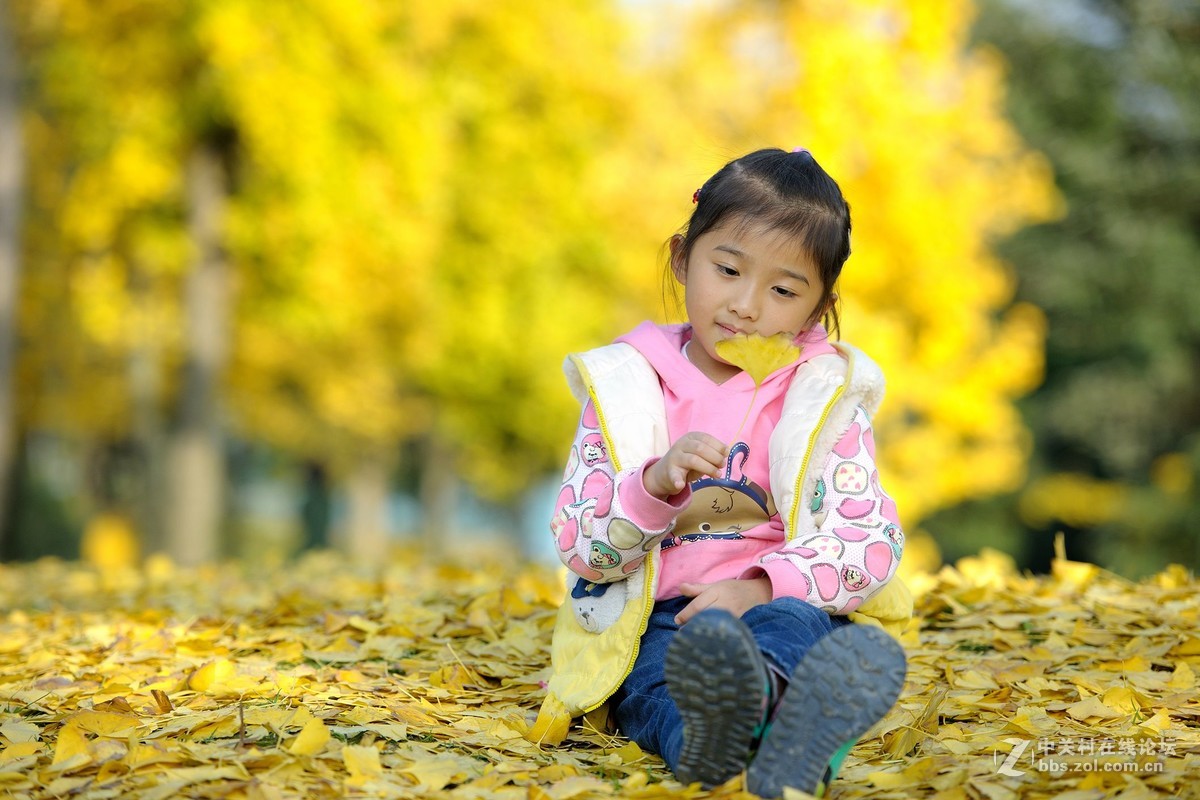 尼康AF-S 尼克尔 70-200m拍