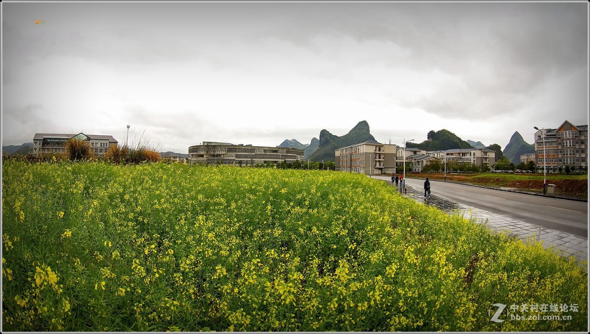 泽尼塔尔鱼眼-------烟雨校园