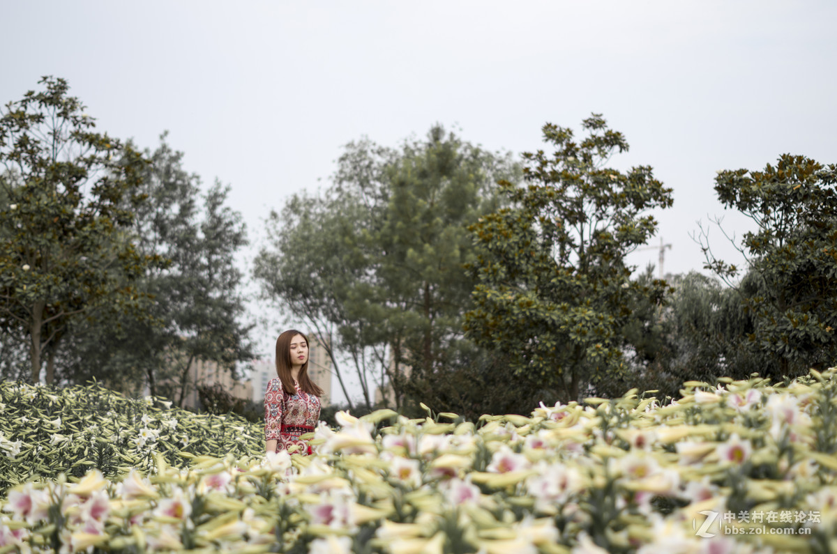 与女神一起去看百合花海