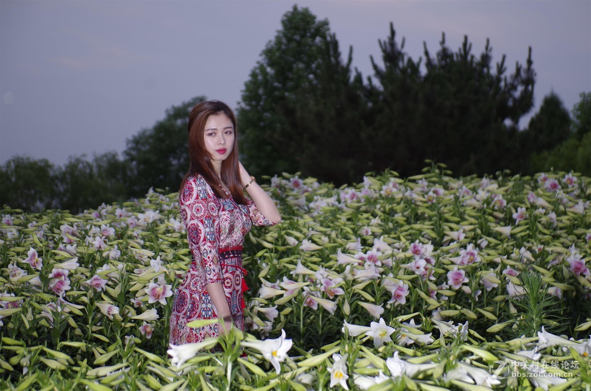 与女神一起去看百合花海