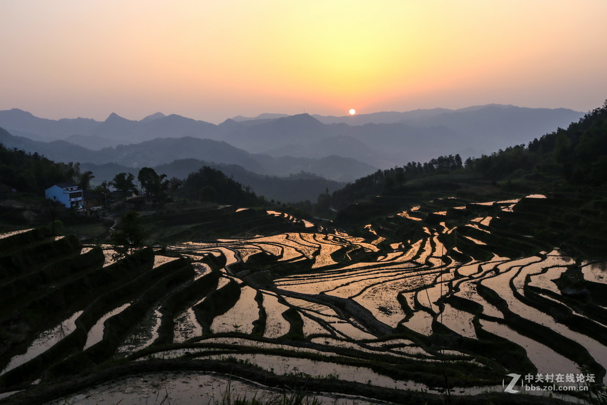 #ZOL月赛-春暖花开#春游大别山