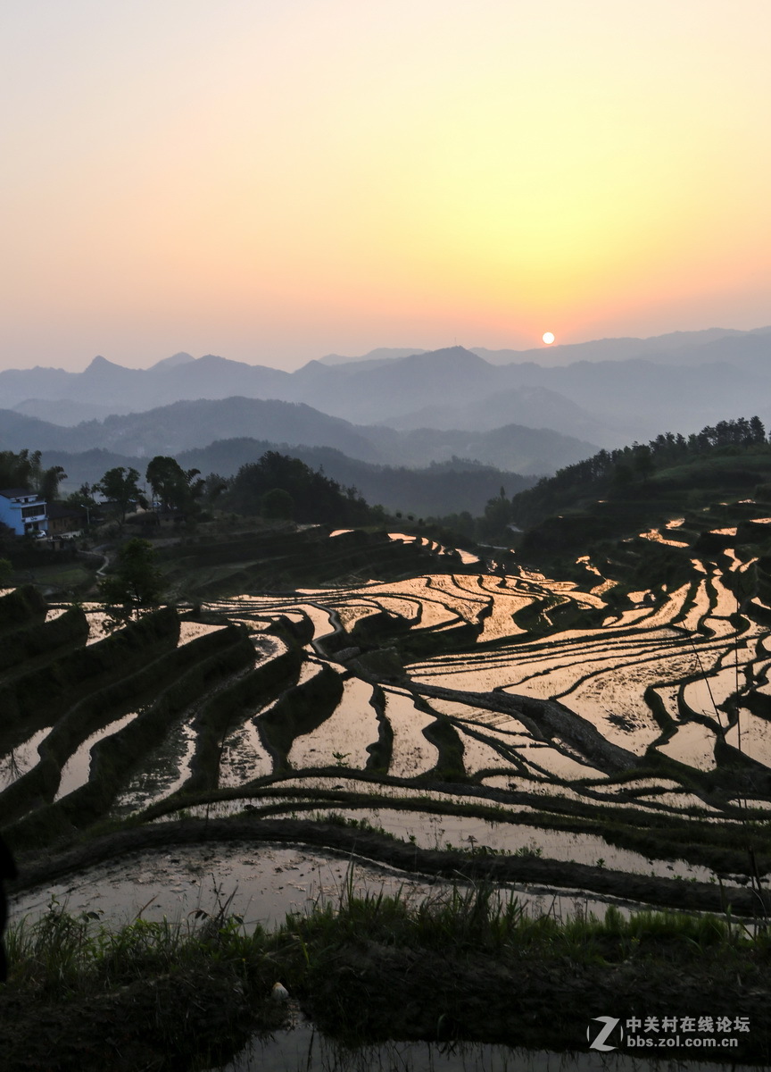 #ZOL月赛-春暖花开#春游大别山