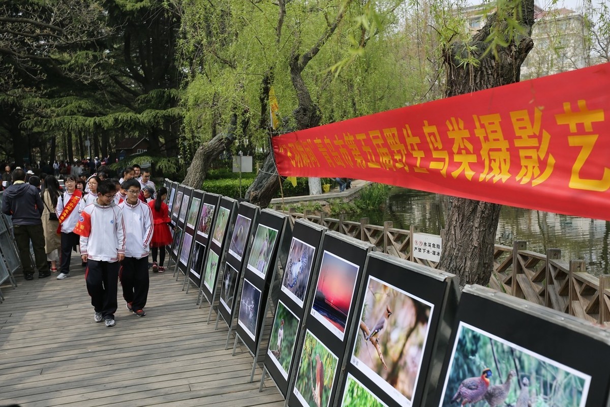 “飞羽瞬间”青岛市第五届野生鸟类摄影艺术展