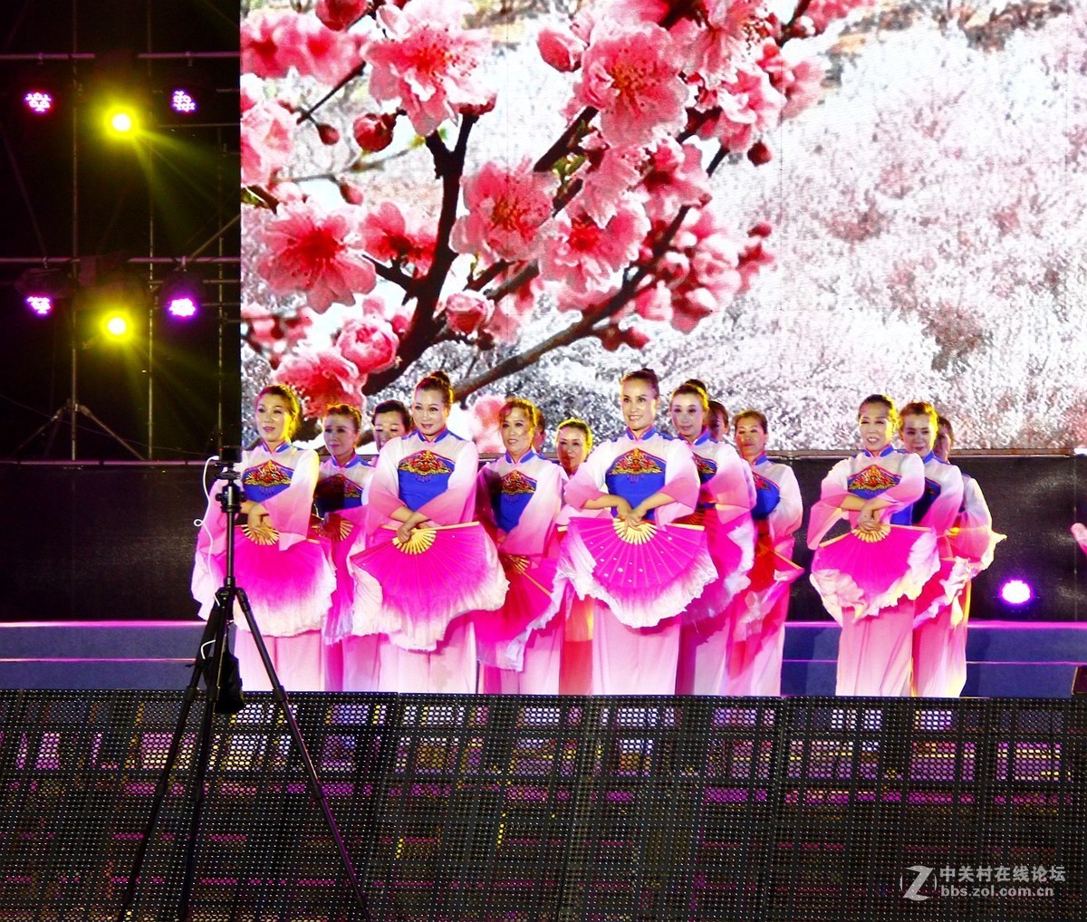 歌舞：桃花红杏花白.