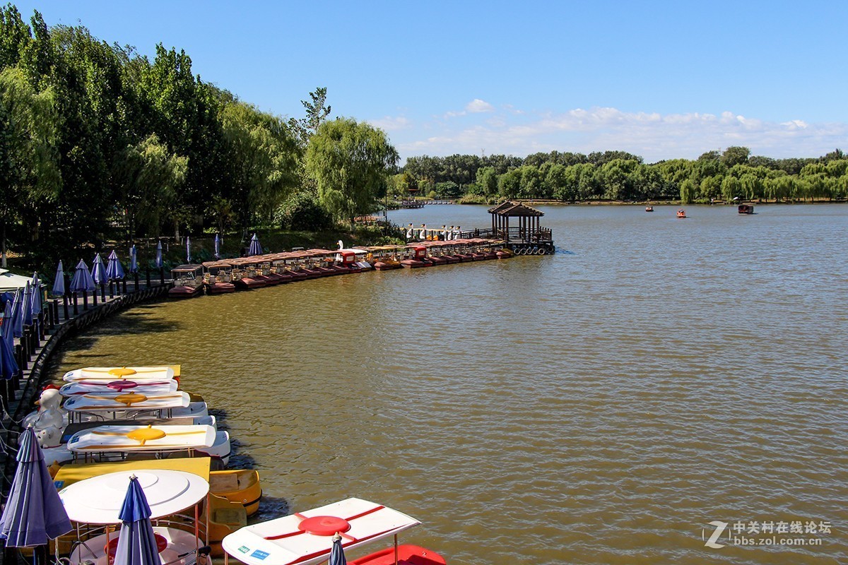 #佳能迷你单反EOS 200D 看见南腔北调# 湿地公园