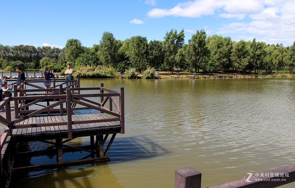 #佳能迷你单反EOS 200D 看见南腔北调# 湿地公园