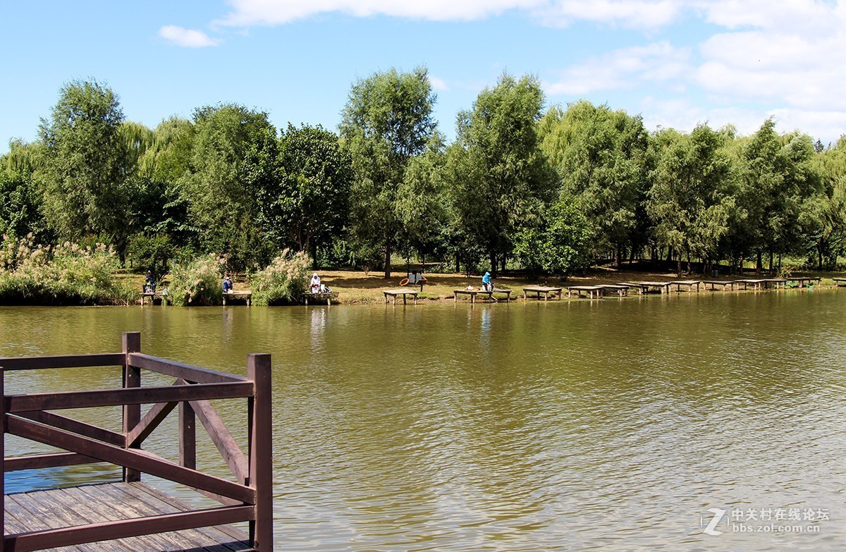 #佳能迷你单反EOS 200D 看见南腔北调# 湿地公园