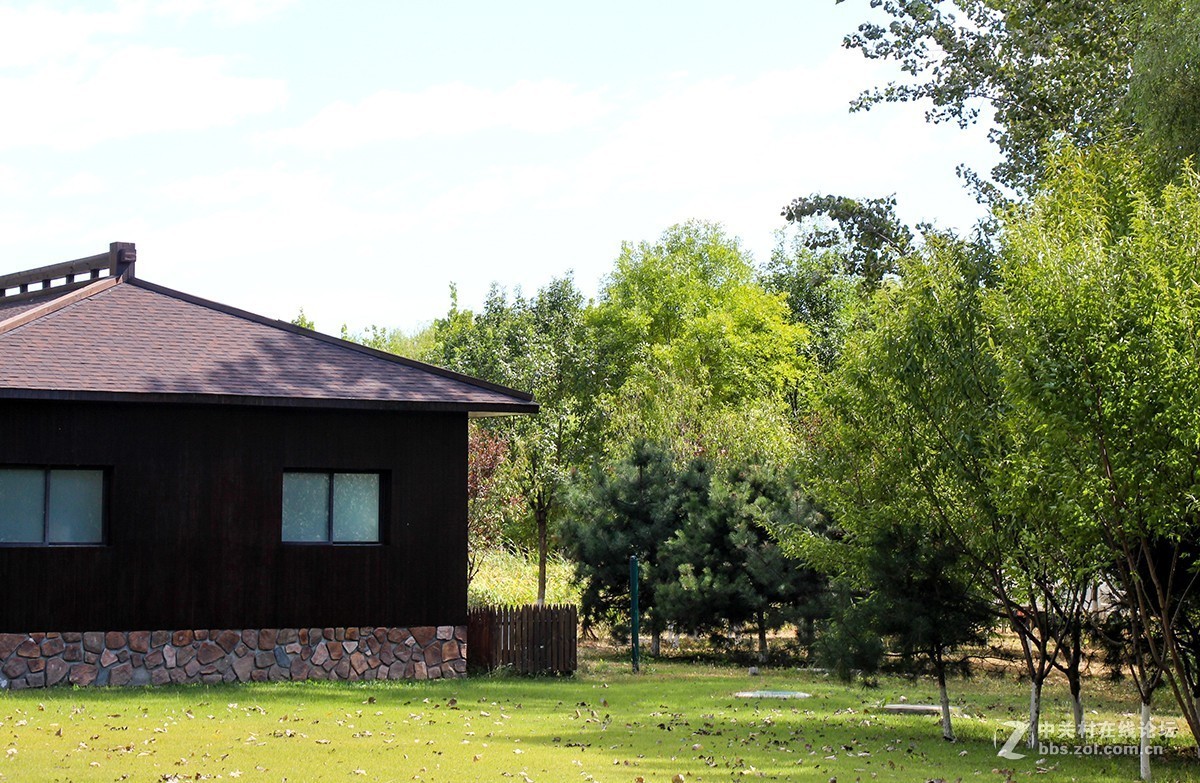 #佳能迷你单反EOS 200D 看见南腔北调# 湿地公园