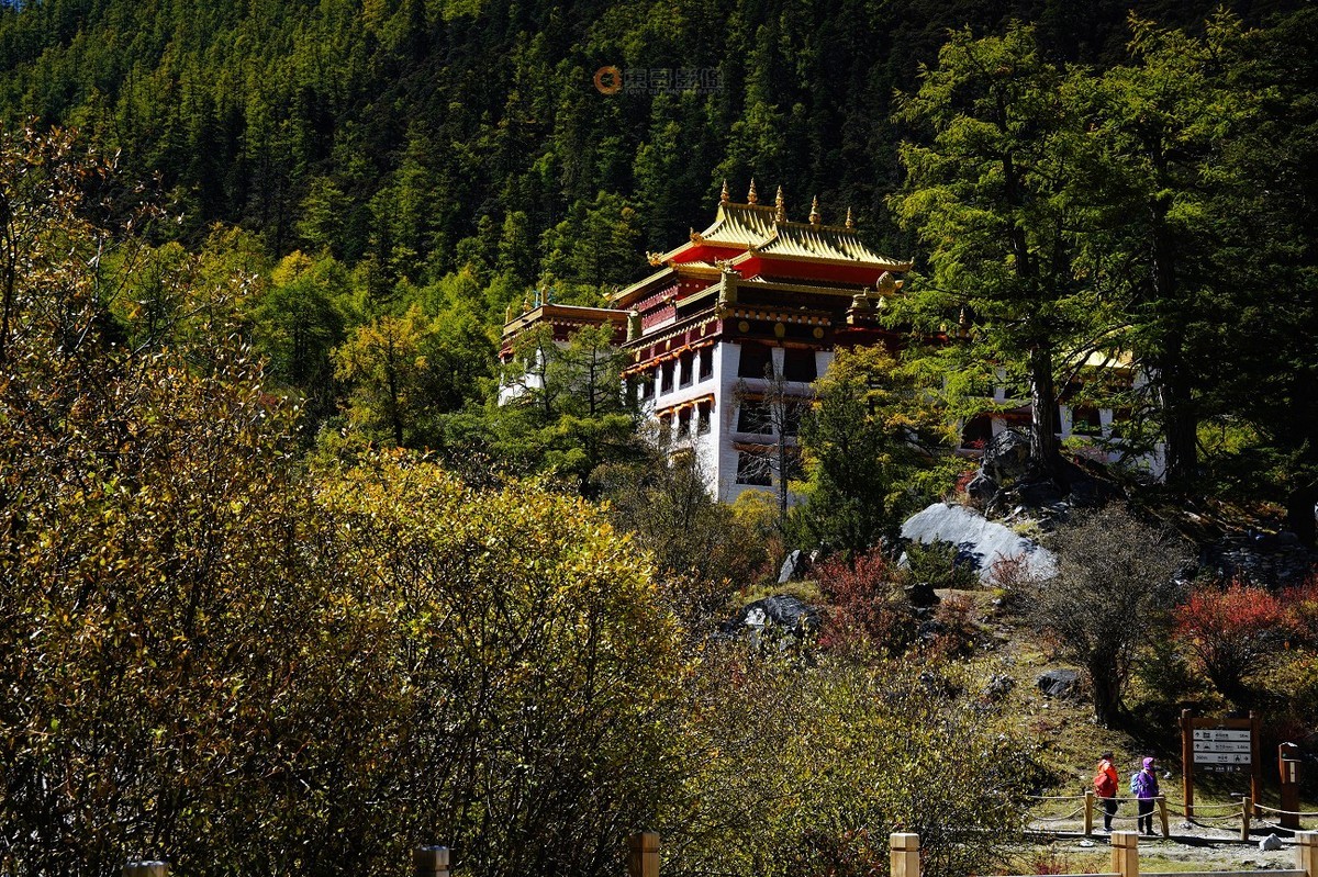 稻城亚丁-最后的香格里拉