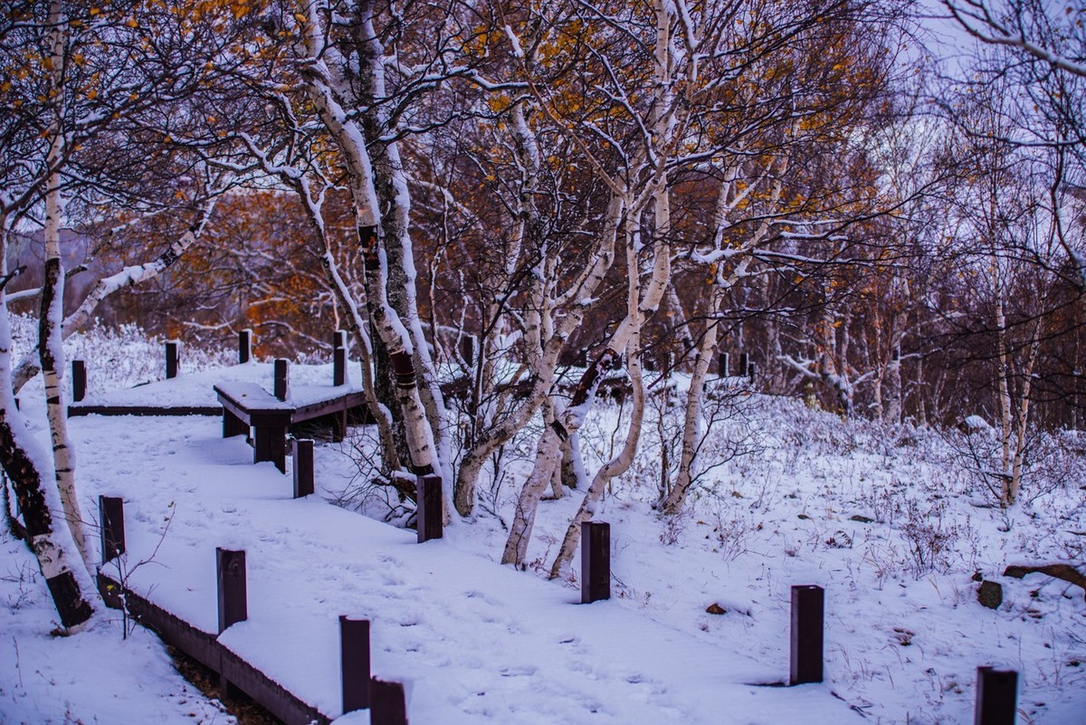 黄秋园雪景图片