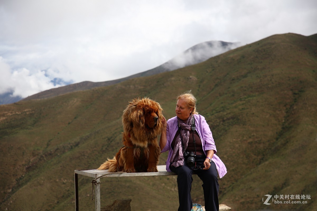 西藏阿里行------浪卡子至曲水的风景(车拍)