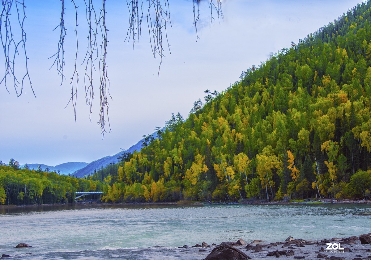 美丽的新疆之---喀纳斯（6)