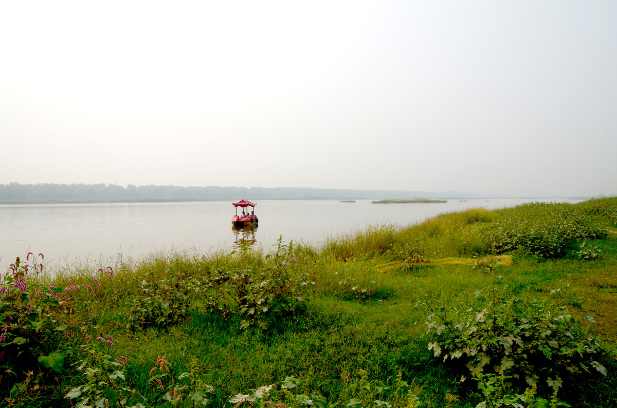 K50+刚刚入手的威慑14MM2.8手动