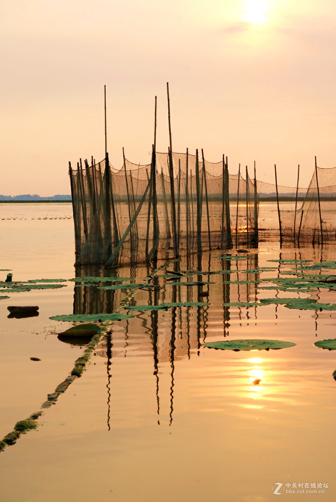 。微。湖。夕。照。