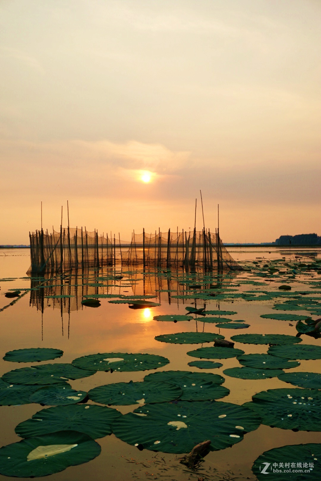。微。湖。夕。照。
