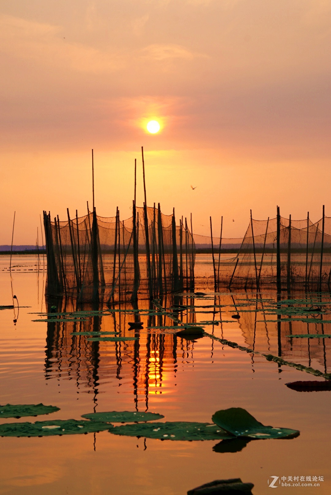 。微。湖。夕。照。