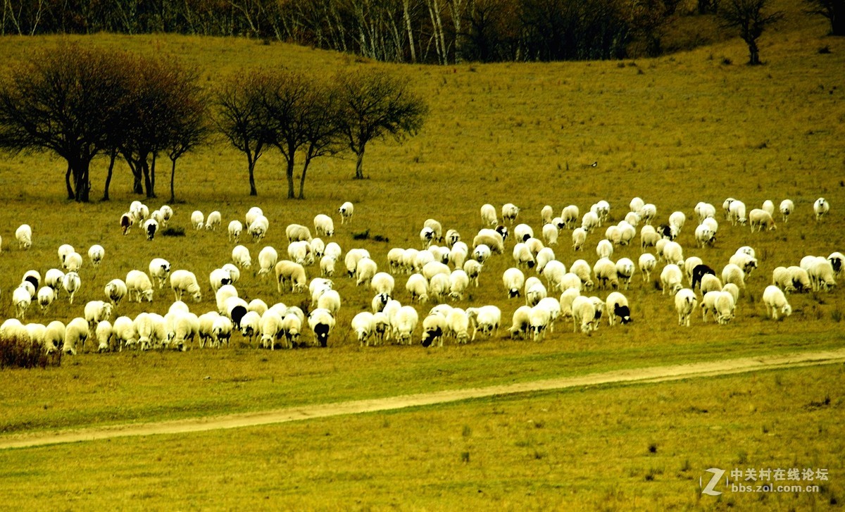 影记（77）——乌兰布统坝上行
