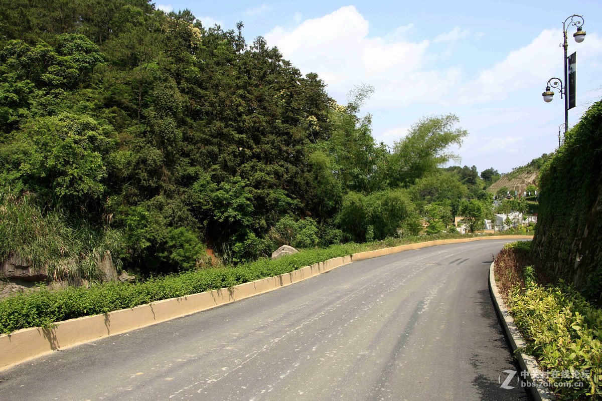 五一随拍（四）