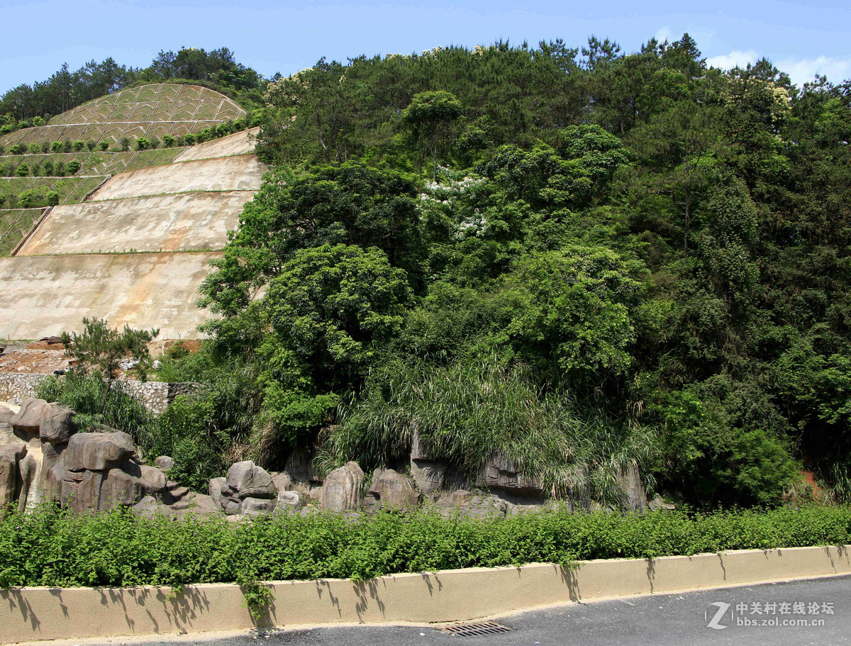 五一随拍（四）