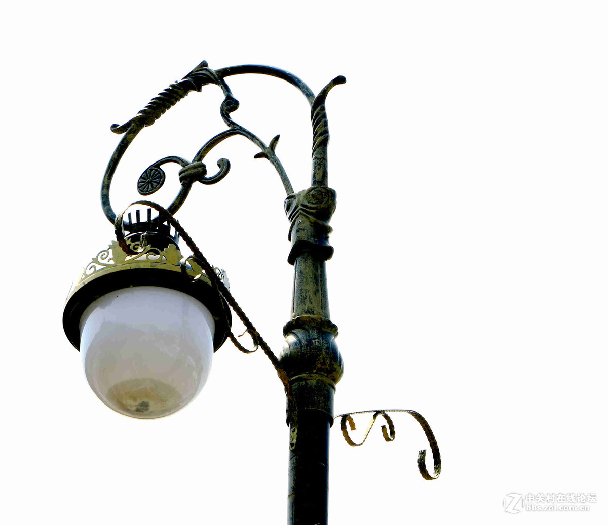 五一随拍（四）