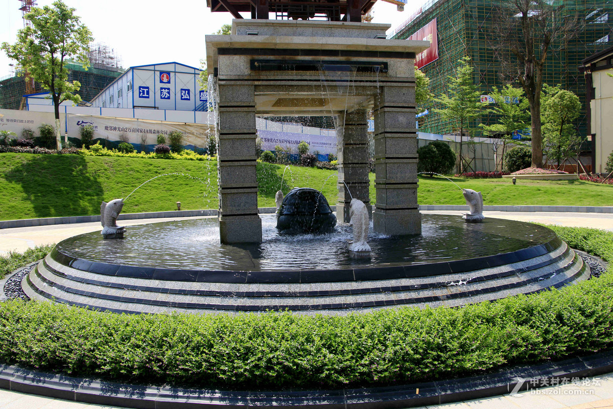 五一随拍（四）