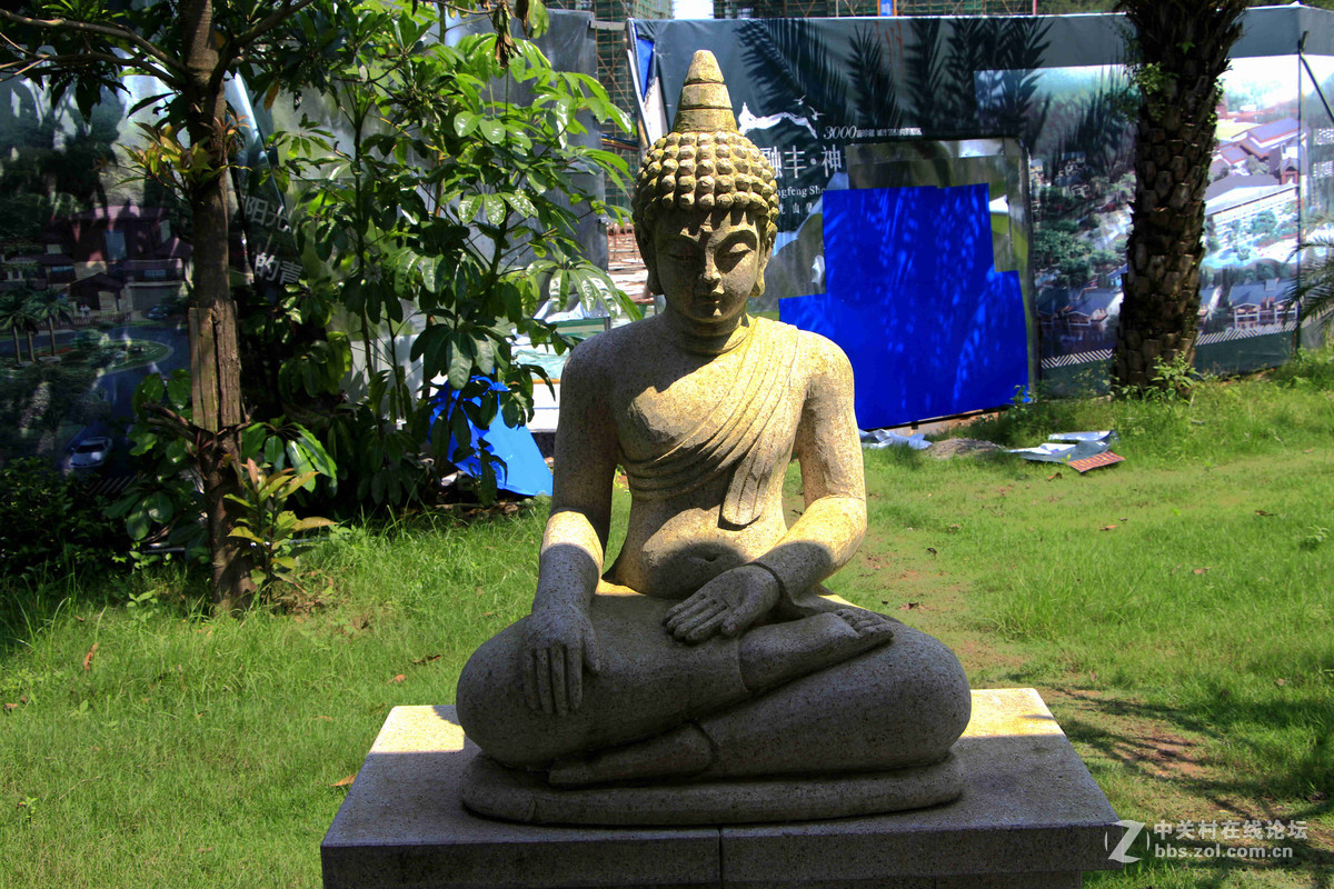 五一随拍（四）