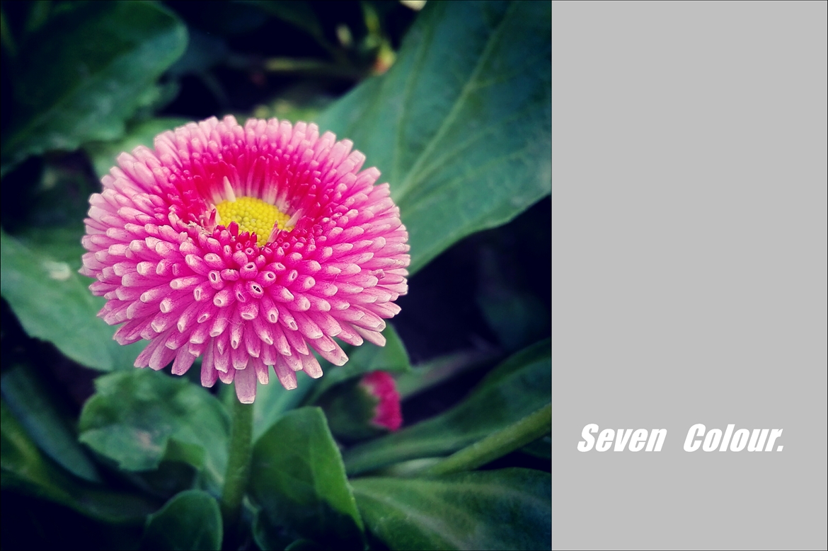 华为P8青春版杂拍