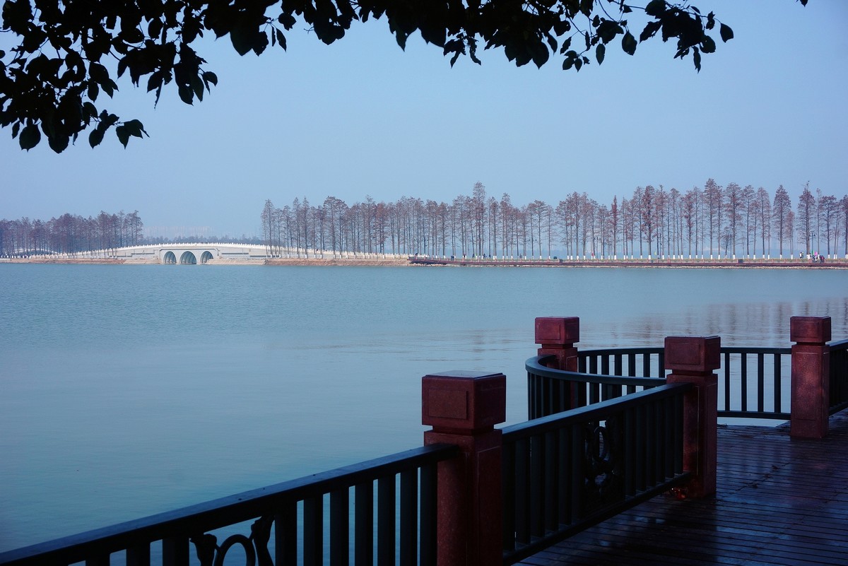 初冬-----东湖印象---续！。。。。。。。
