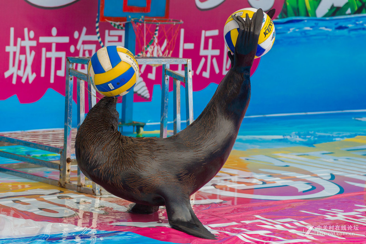 晋城市“城市海景水上乐园”